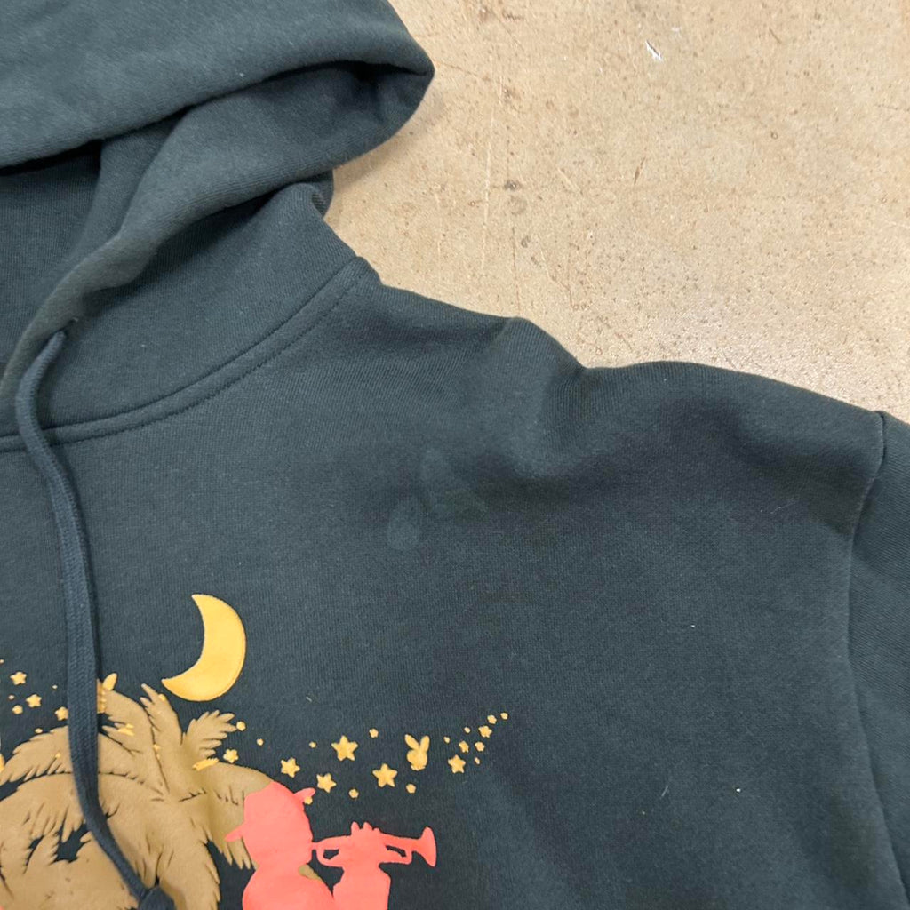 Pacsun x Playboy Dark Green Hoodie – Size M, Good Condition, Stain Shown